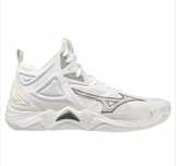 Mizuno momentum 3