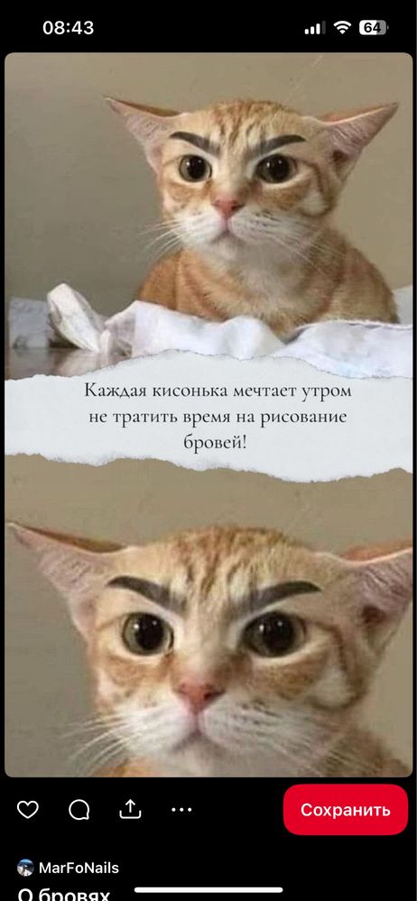 Перманент бровей всего за 6.000!!