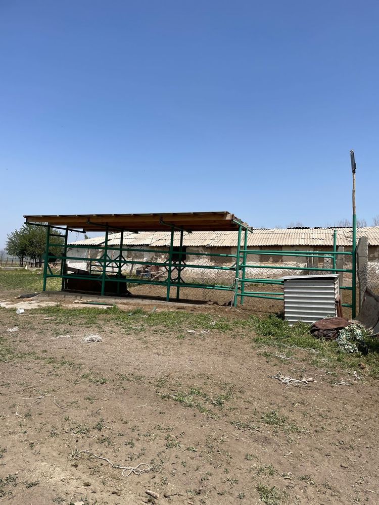 Продается фазенда в предгорьях Акыртобе 238 гектар