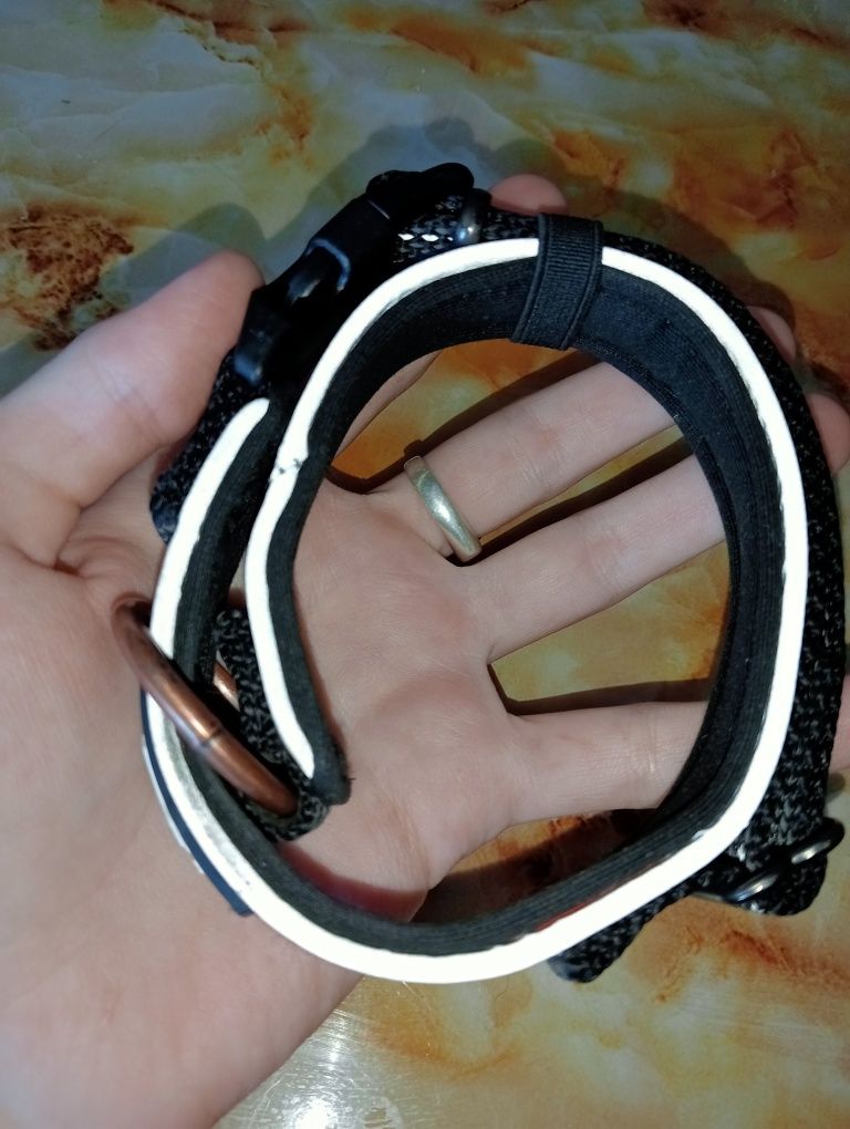 Продам амуницию для собак