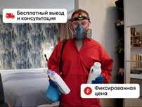 Дезинфекция уничтожение насекомых Тараканов клопов уборка муравьи