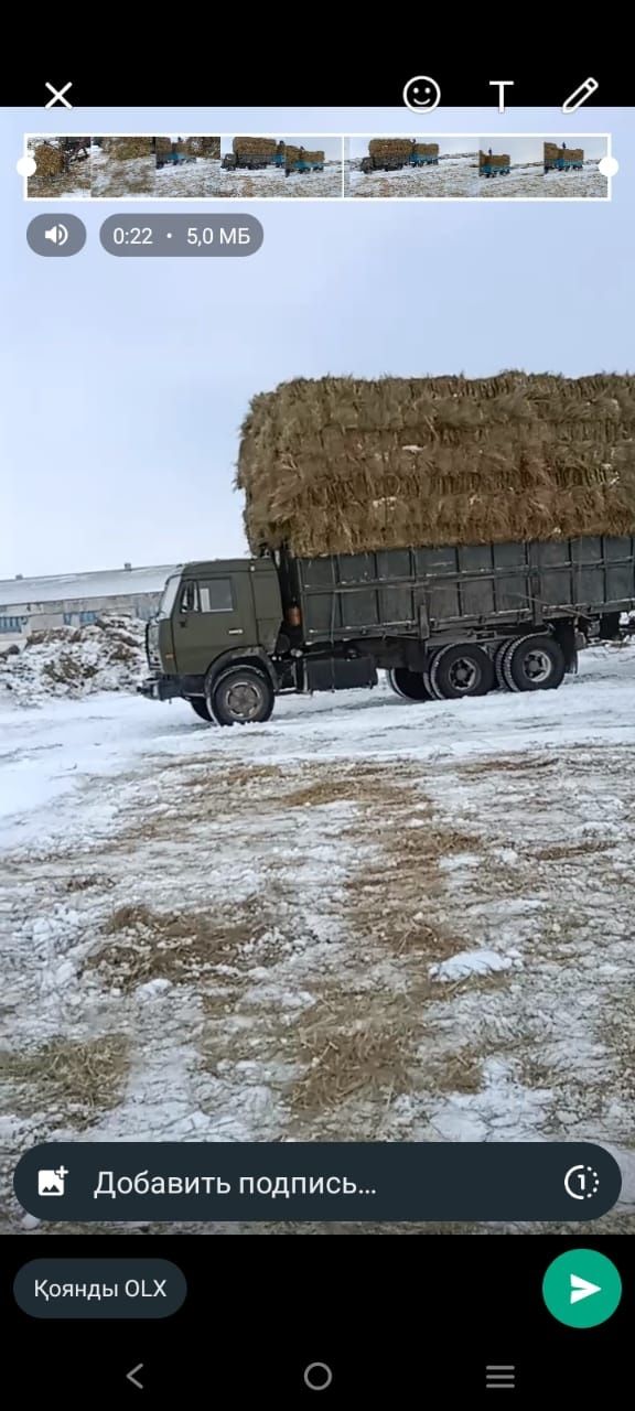 Шөп сатам Тюк 15-20 кг 1600 т. 
[08.02, 10: