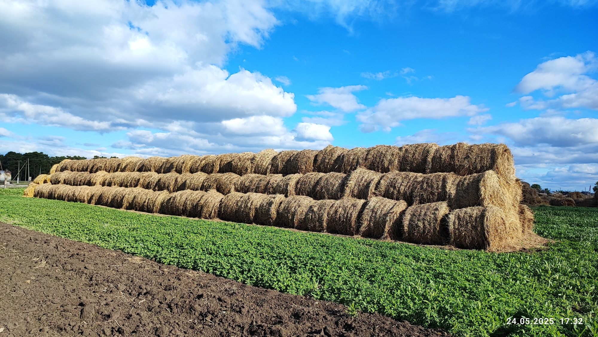 Продам сено, луговое, пресс прф-145,