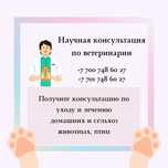 Ветеринарная консультация