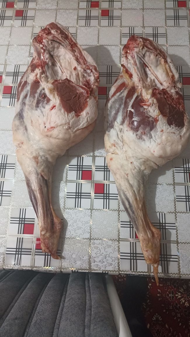 Мясо Баранина Ляжка задок Высшего качество