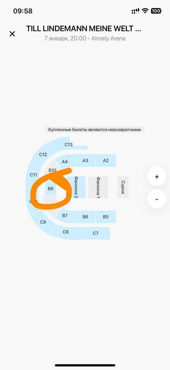2 билета по центру арены на концерт Till Lindemann
