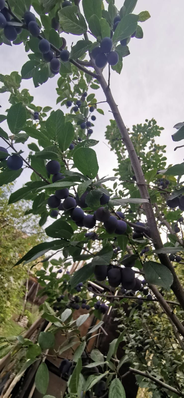 Продам дом со всеми удобствами