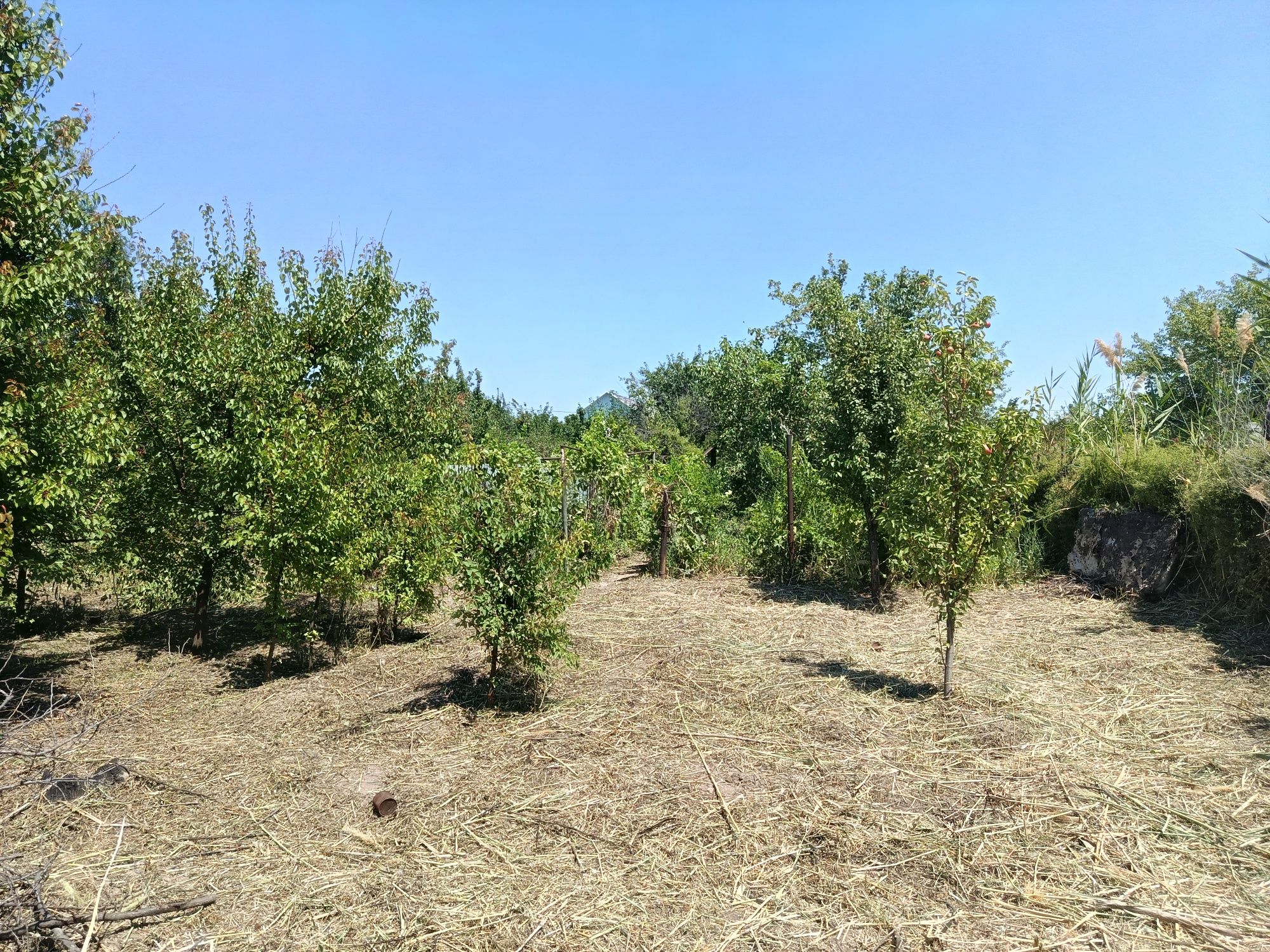 Продам дачу 10 соток