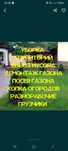 Посев газона, клевера. Демонтаж газона. Спил деревьев. Садовник