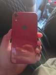 Iphone Xr  (red)