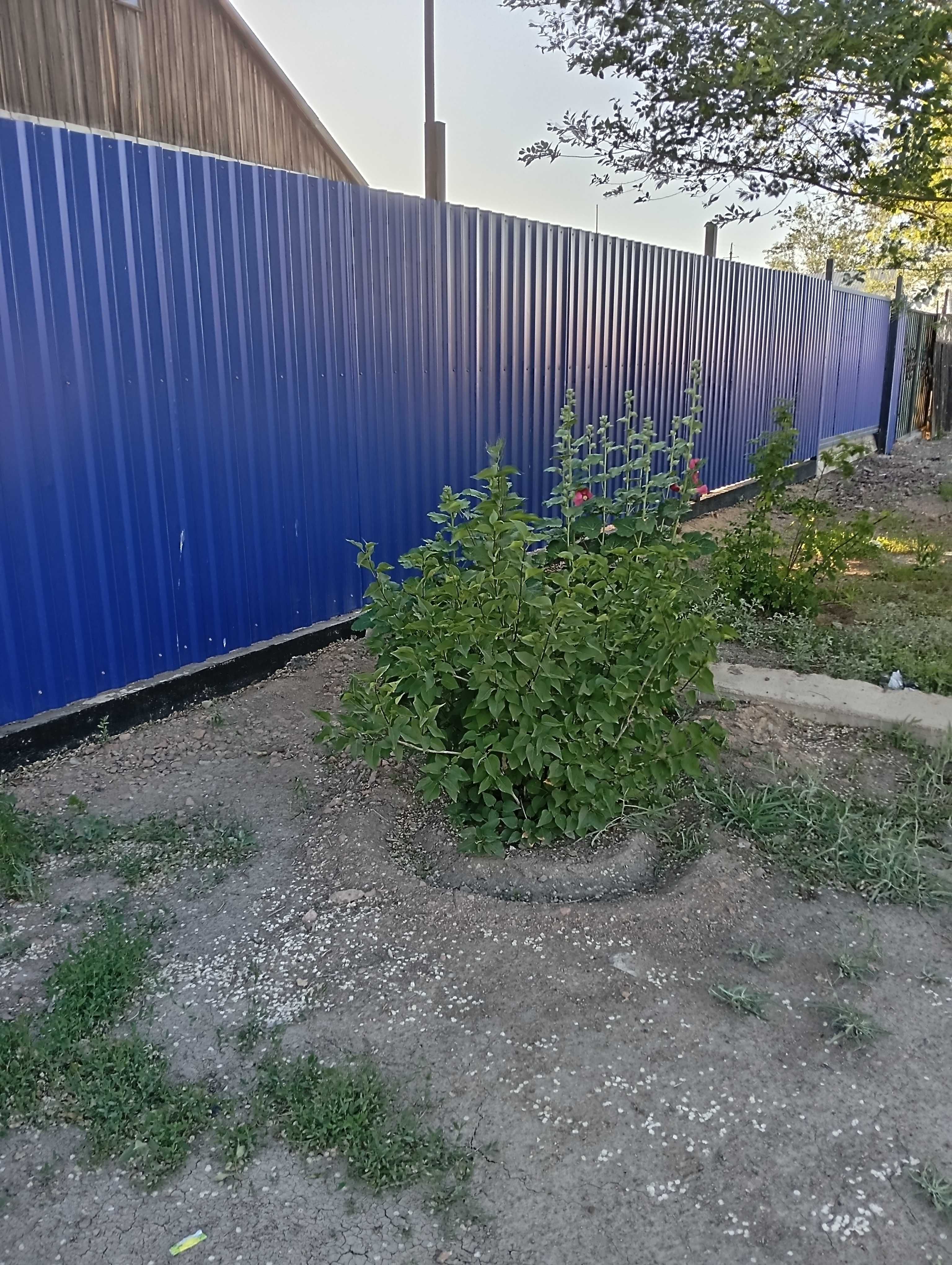Продаю дом в г. Балхаш, пер.Бертыс, 3А