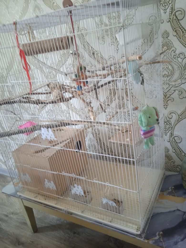 Продам большую клетку