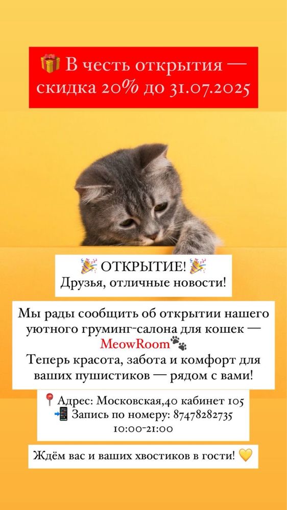 Груминг, вычесывание