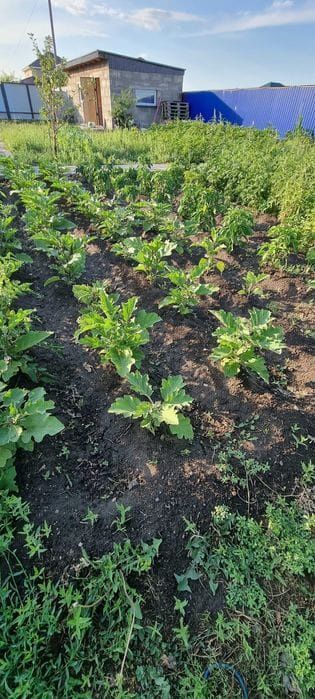 Продам участок, район Мал базара