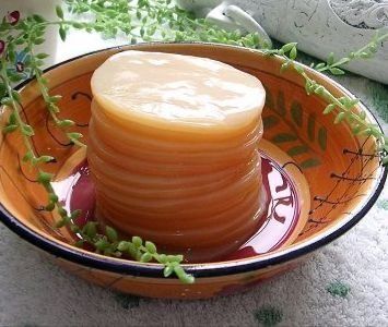 Чайный гриб чайный гриб