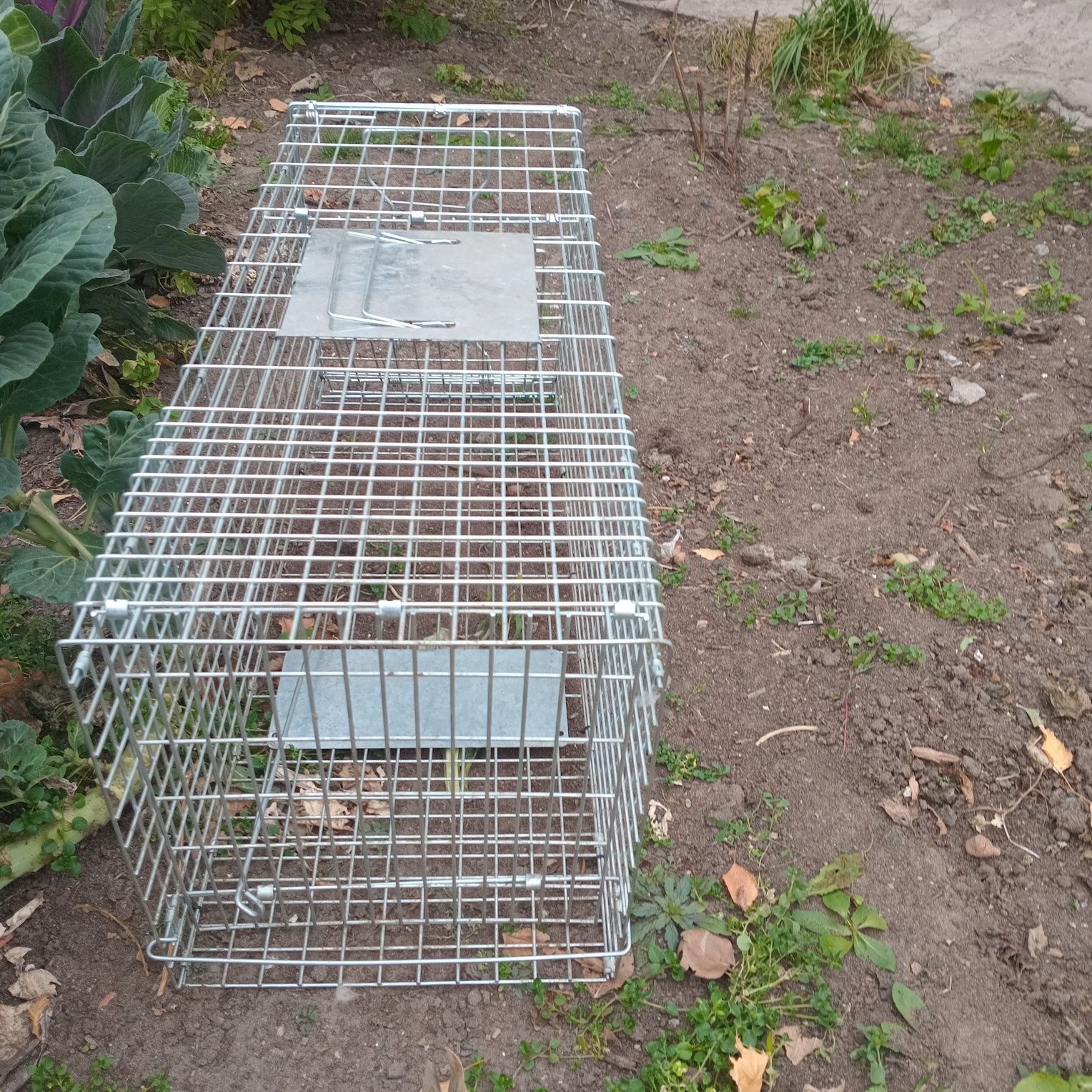 Продам кошколовку