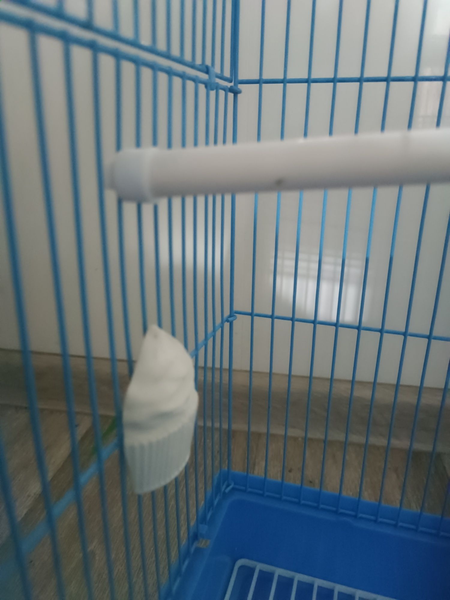 Клетка для птичек