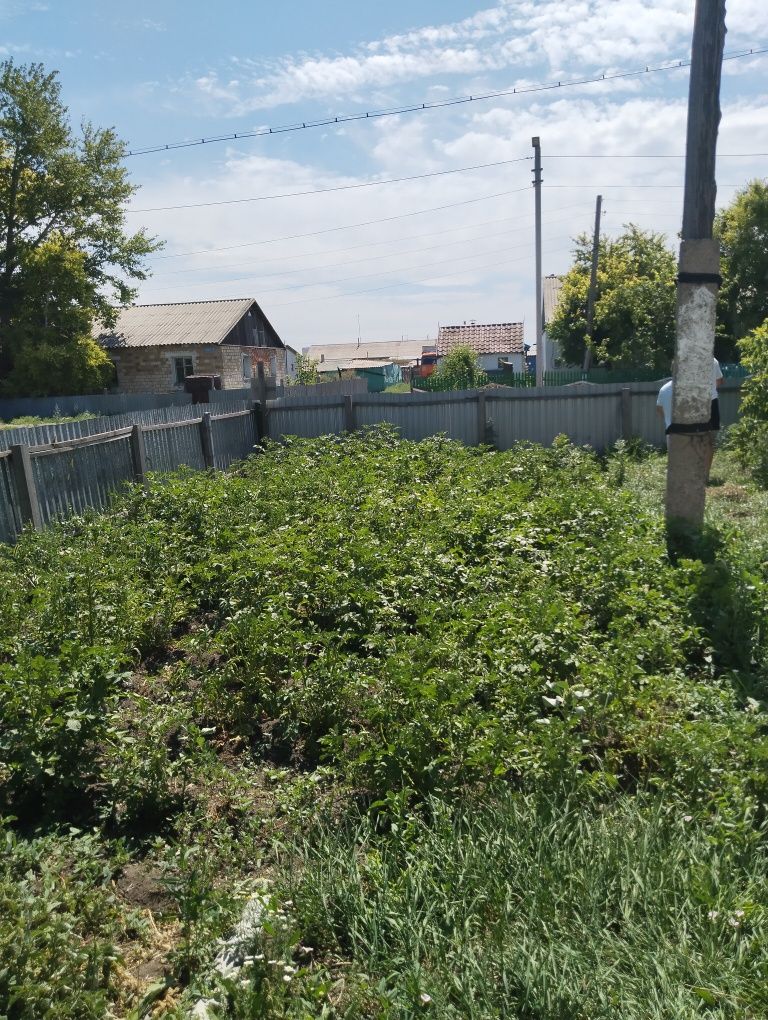 Продам дом, с хоз постройками и 20 соток земли