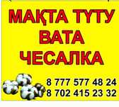 Мақта түту (Перечес ваты)