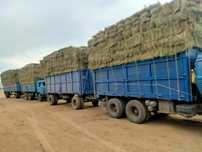 Продам сено житняк разнотравия