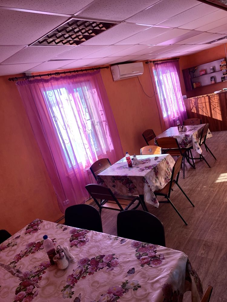 Продаю Кафэ с.Секисовка