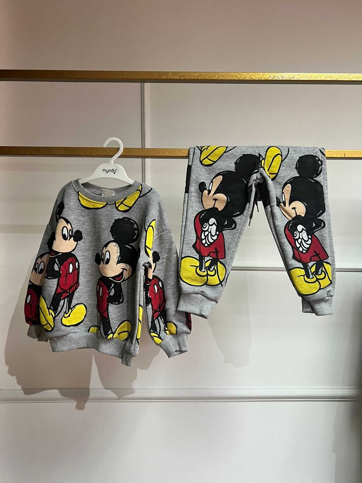 Детская двойка Zara Микки
