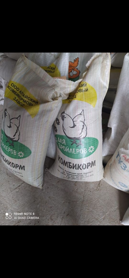 3400т. Корма куринные универсальные