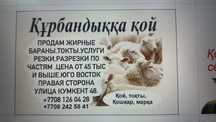 Продается жирные бараны, токты, кошкар, марка