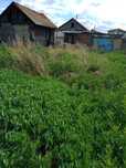СРОЧНО! Продам участок со старым домом, рядом с 3-ей школой и стадионо