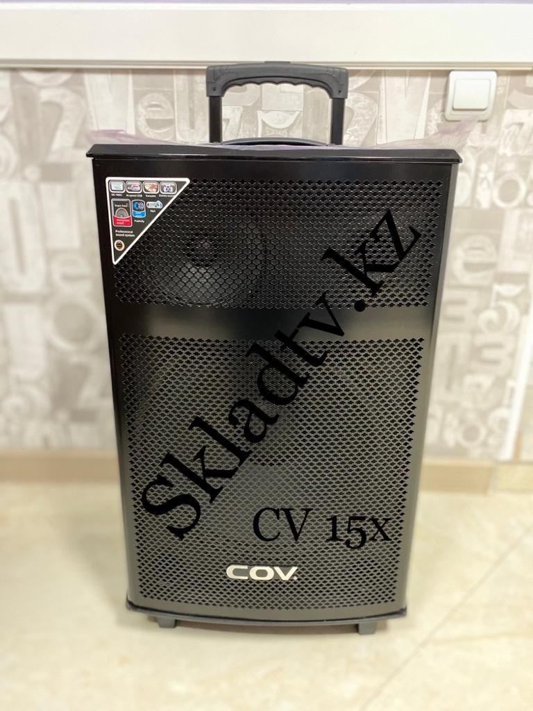 Акустическая портативная Bluetooth USB KARAOKE AUX колонка COV 15X