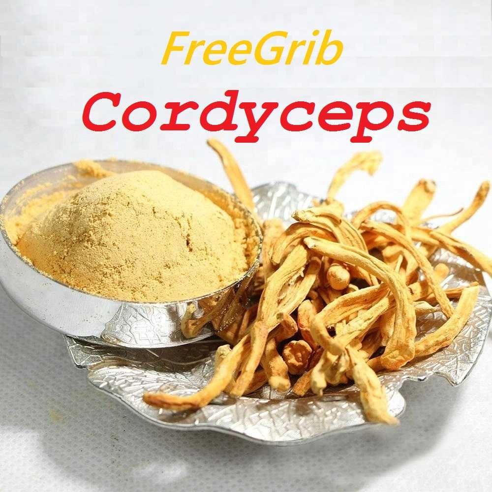 Кордицепс Cordyceps FreeGrib 100% Собственное производство