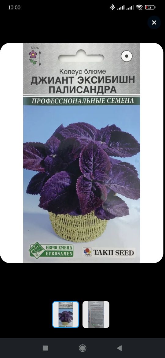 Комнатные цветы у кого есть