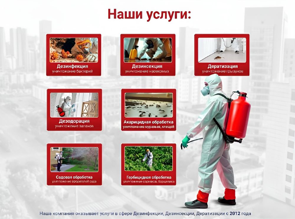 Дезинфекция! Уничтожение тараканов тараканы клопов клопы блох ос