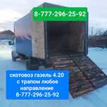 Скотовоз с траппом лошади крс мрс звлните