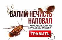Уничтожение всех видов насекомых, СЭС
