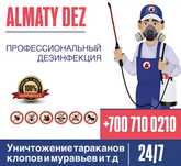 Дезинфекция Уничтожение клопов и тараканов қандала дезинсекция