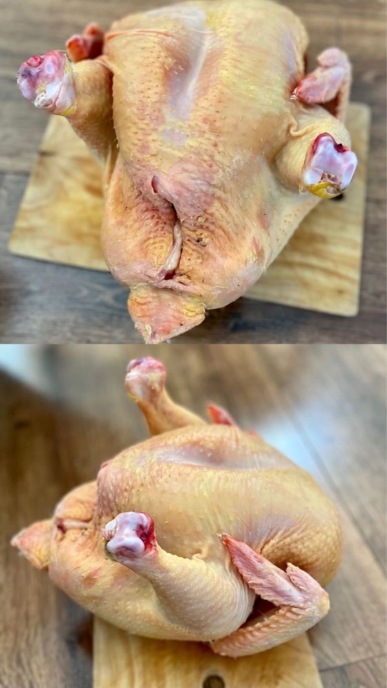 Куры бройлера Мясо домашней курицы