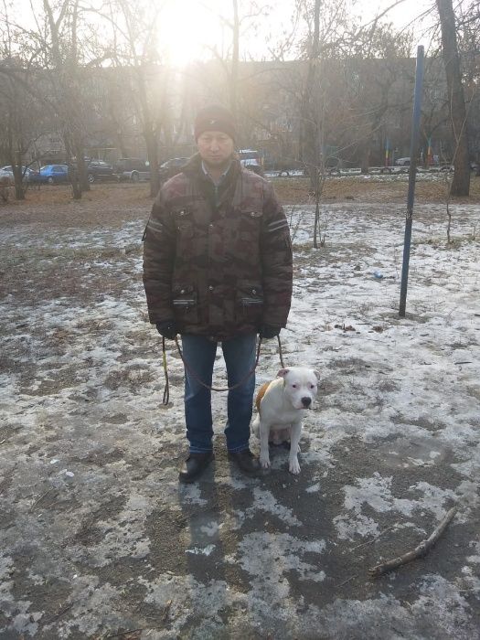 дрессировка собак всех пород. Услуги кинолога
