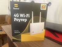 Wi-Fi Роутер (Beeline)