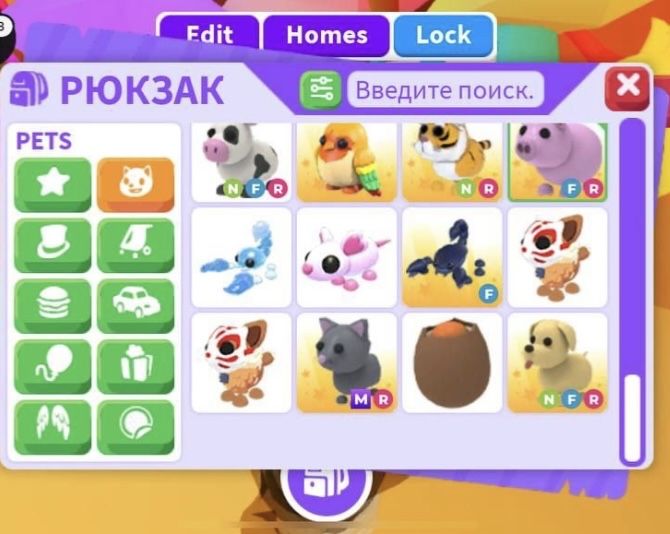 Продам петов в адопт ми