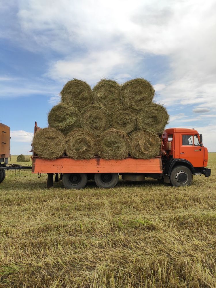Продам сено в рулонах