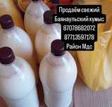 Продам кымыз натуральный ,очень полезный напиток
