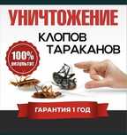 Дезинфекциия в Шымкенте
