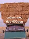 Сабан прес бар 400тг