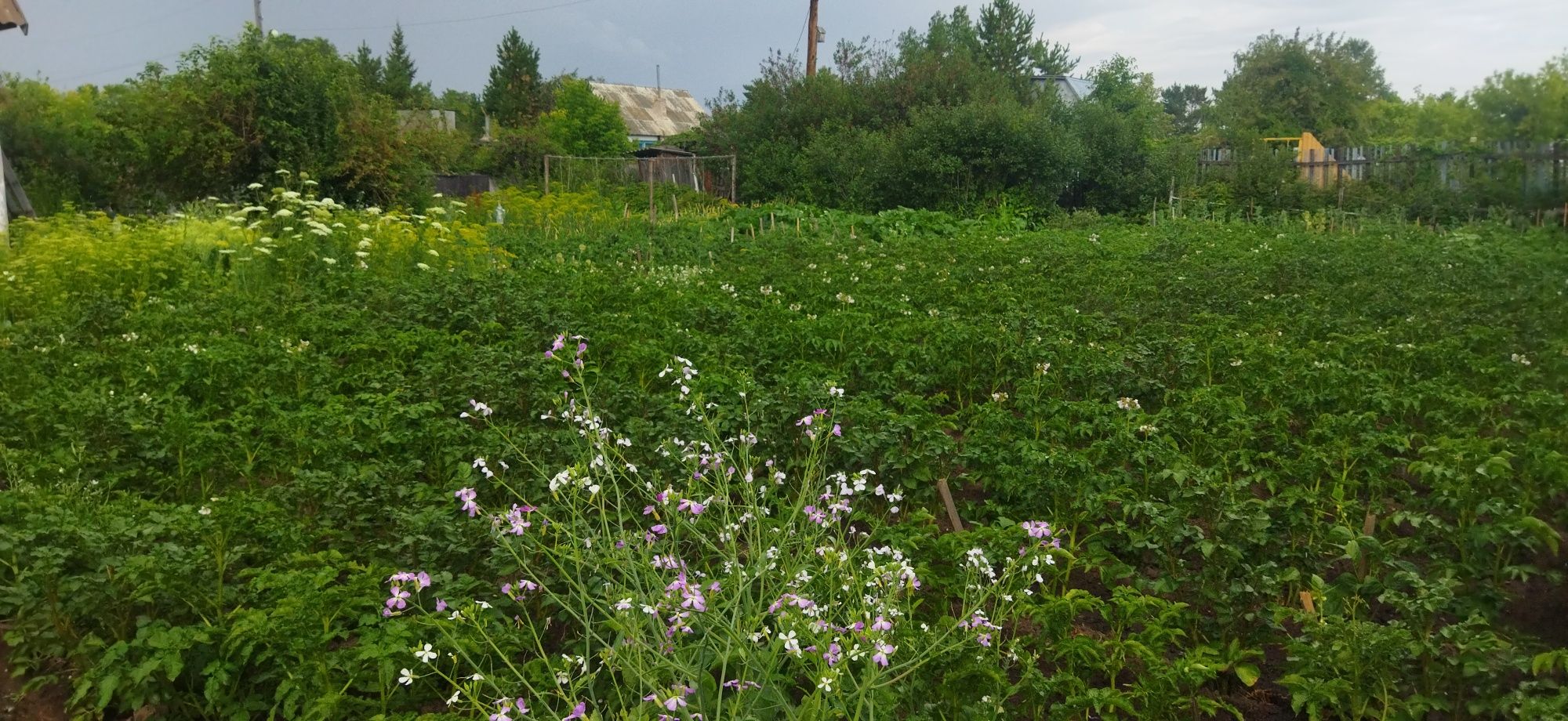 Продам Дачу в Михайловке