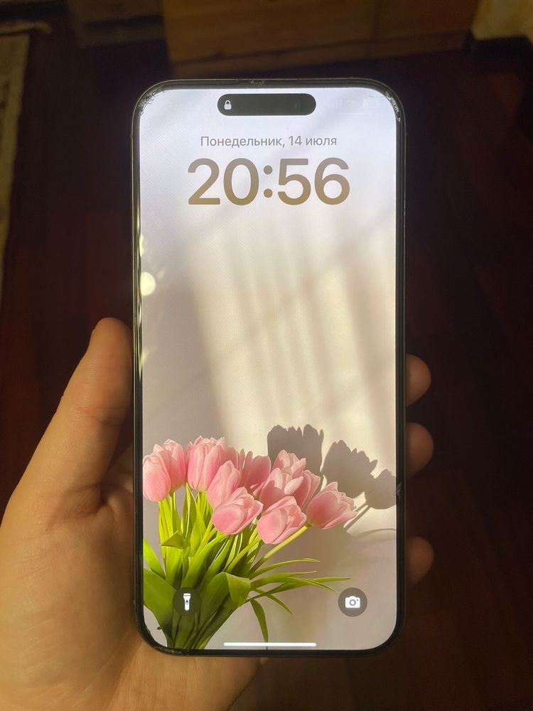 Iphone 16 Pro Max 256
