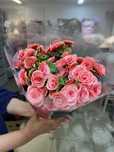 Үй гүлдері цветы комнатные цветы в горшках
