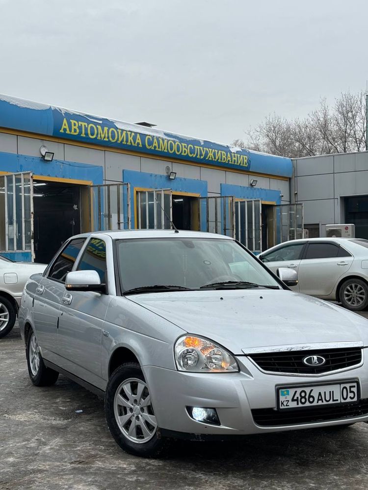 R14 ромашка аттика