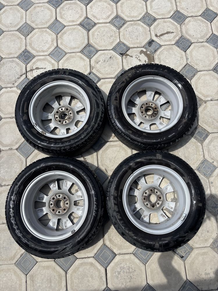 Ромашка r14 атика