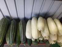 Продам     кабачки